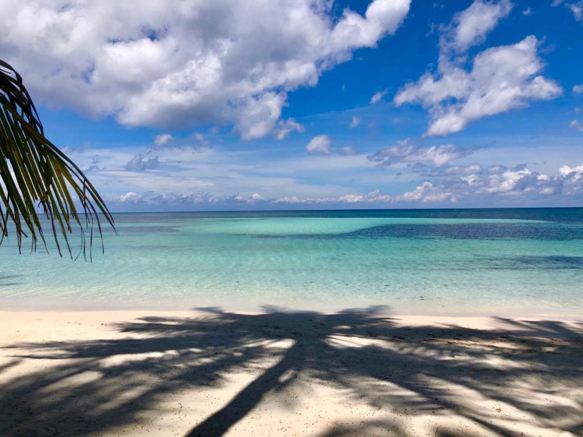 Apo Diver Beach Resort 산후안 외부 사진